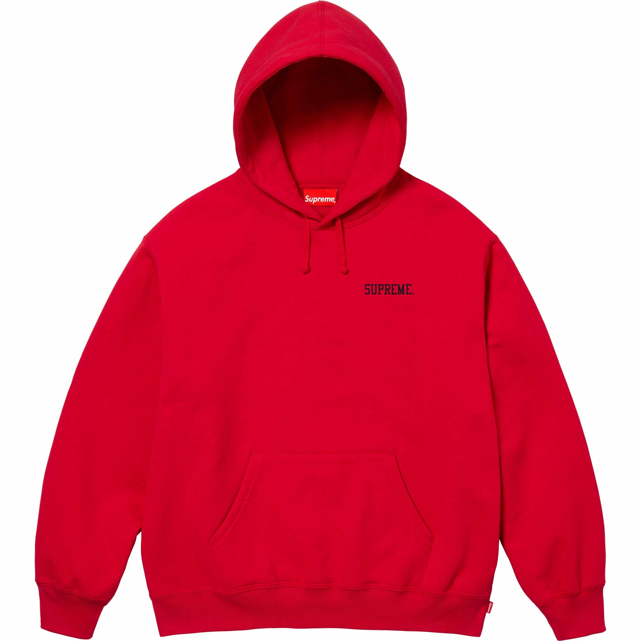 Doggs Hooded Sweatshirt view 5